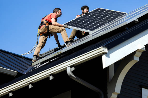 Roof Moss and Algae Removal in Kapaa, HI